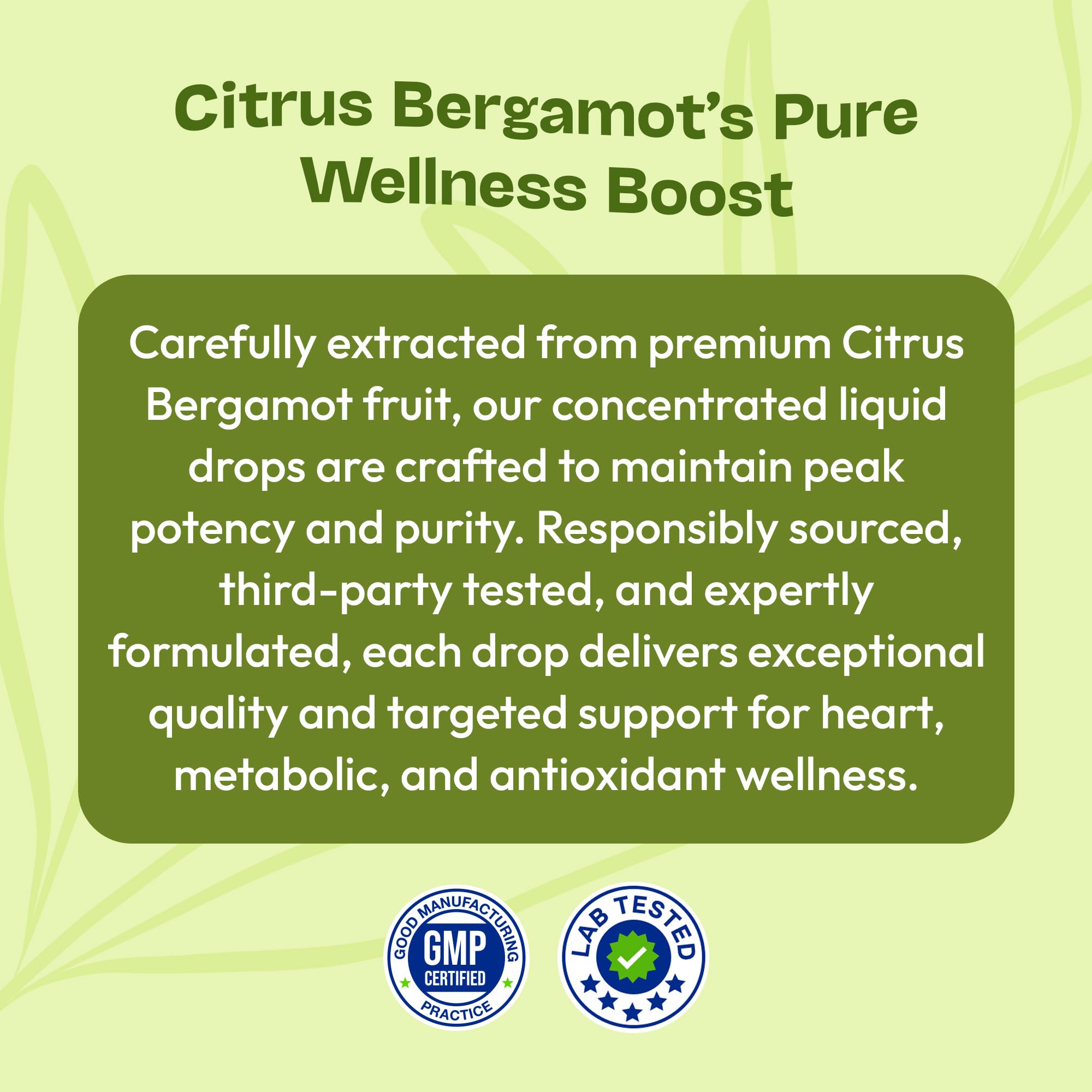 Citrus Bergamot Extract 25:1 Liquid Drops – Vegan & Gluten-Free | Heart Wellness & Metabolic Support