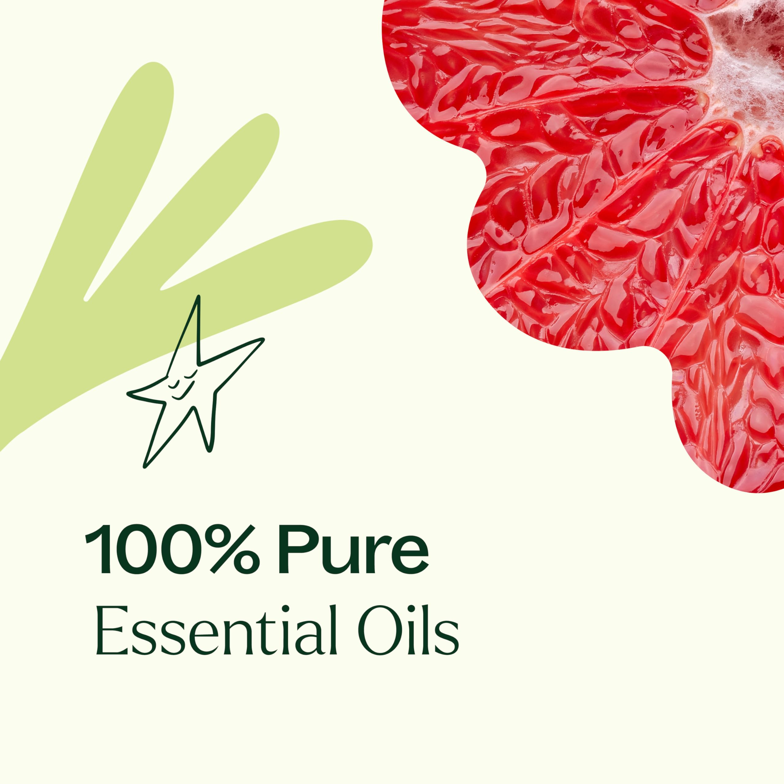 Be Confident Essential Oil Blend 10 mL by Plant Therapy – Pure & Undiluted