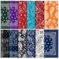 Copkim 24 Pcs Microfiber Cleaning Cloths – Paisley Elegant Flowers Design, 6x6 inch, Multicolor Lens Wipes