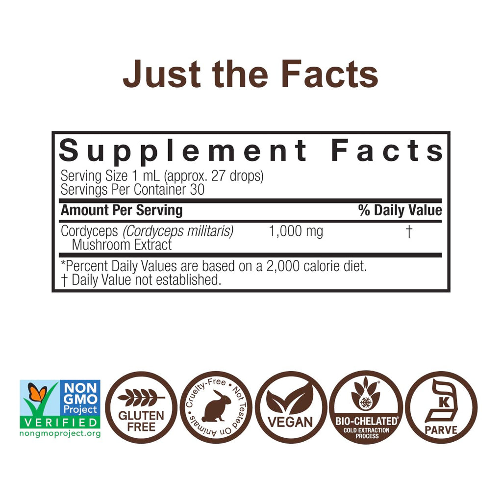 Cordyceps Mushroom Extract – Alcohol Free, 1 fl oz (30 ml) | 1,000 mg per Serving