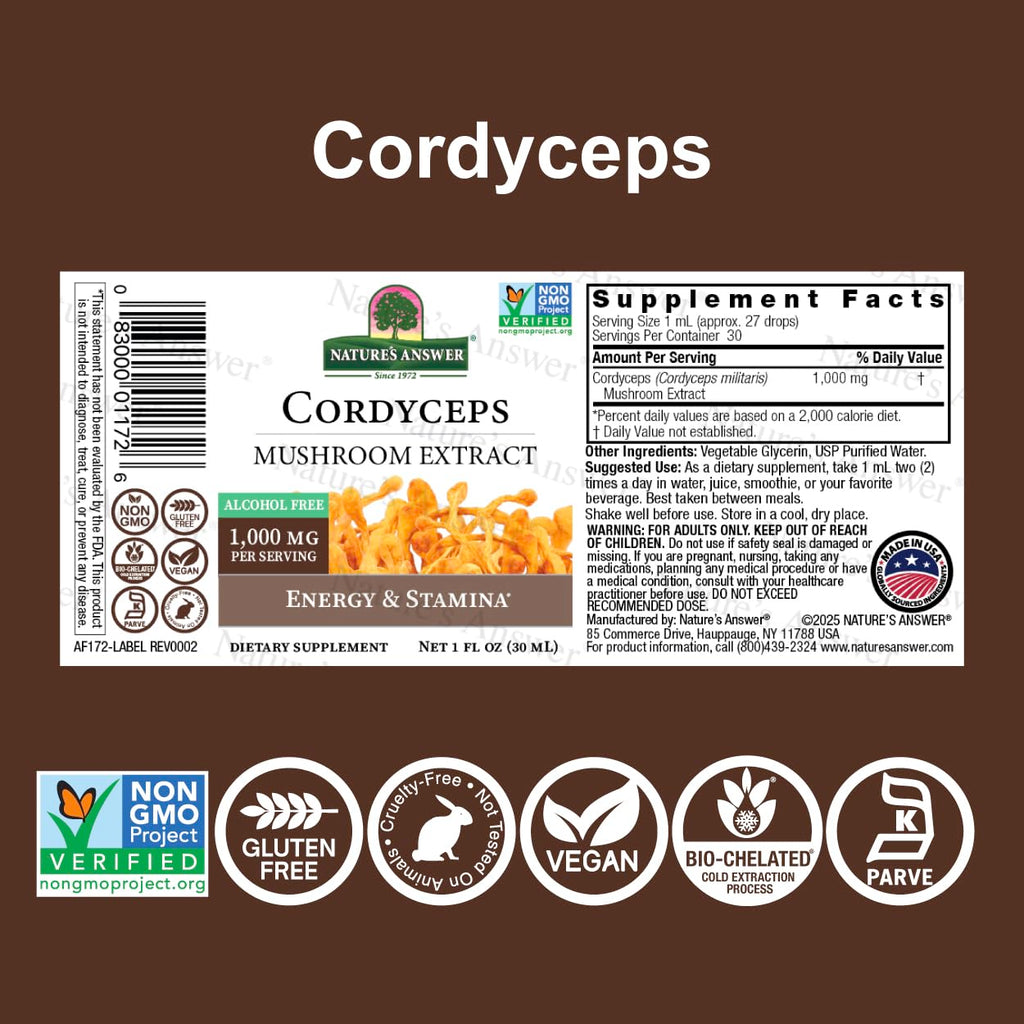 Cordyceps Mushroom Extract – Alcohol Free, 1 fl oz (30 ml) | 1,000 mg per Serving