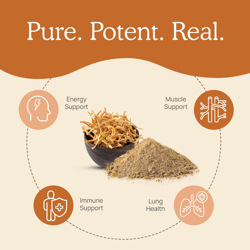 Cordyceps Mushroom Powder - Real Mushroom, Organic, Vegan & Non-GMO | 150 Servings