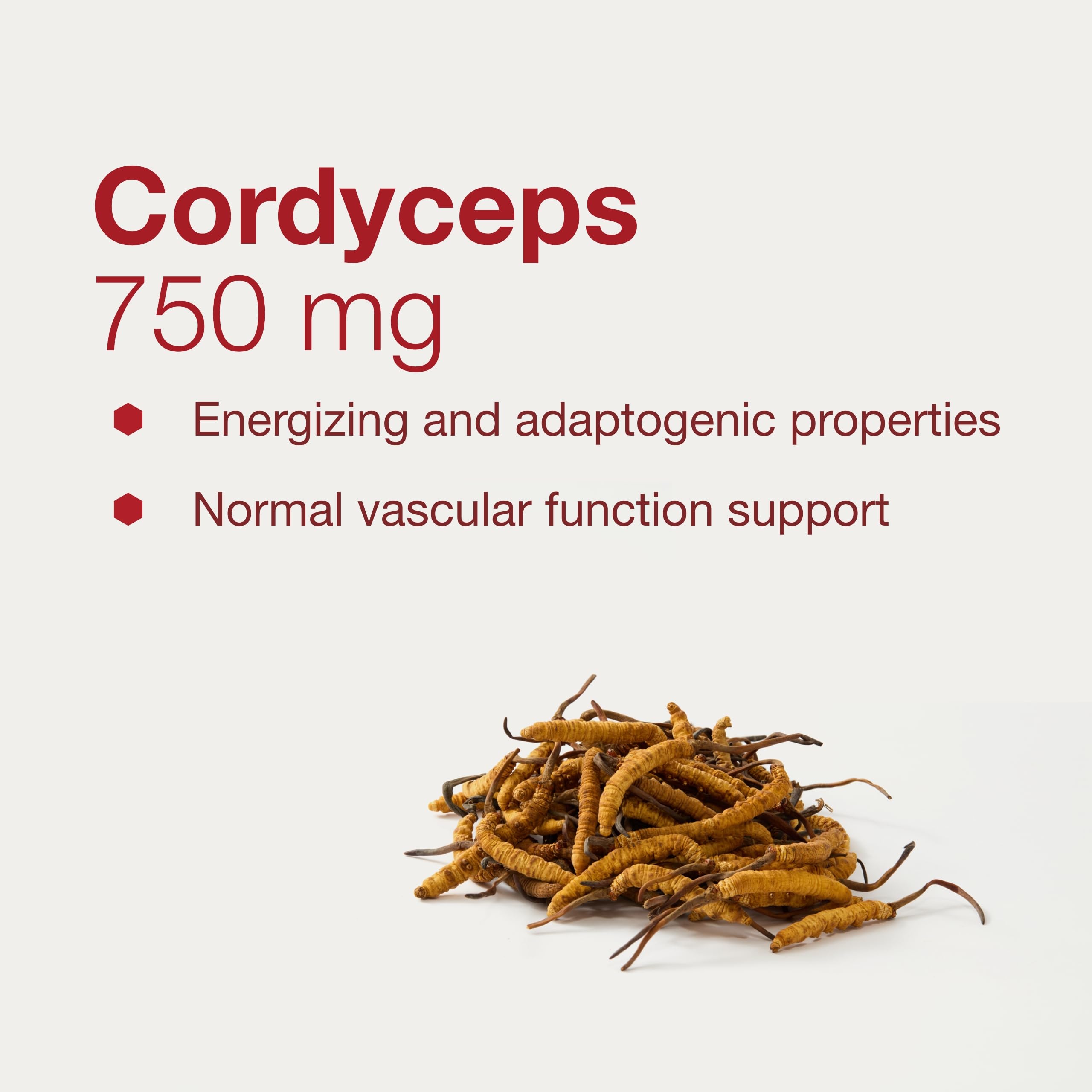 Protocol Cordyceps 750mg – Immune Support & Vascular Health | Non-GMO | 90 Veg Caps