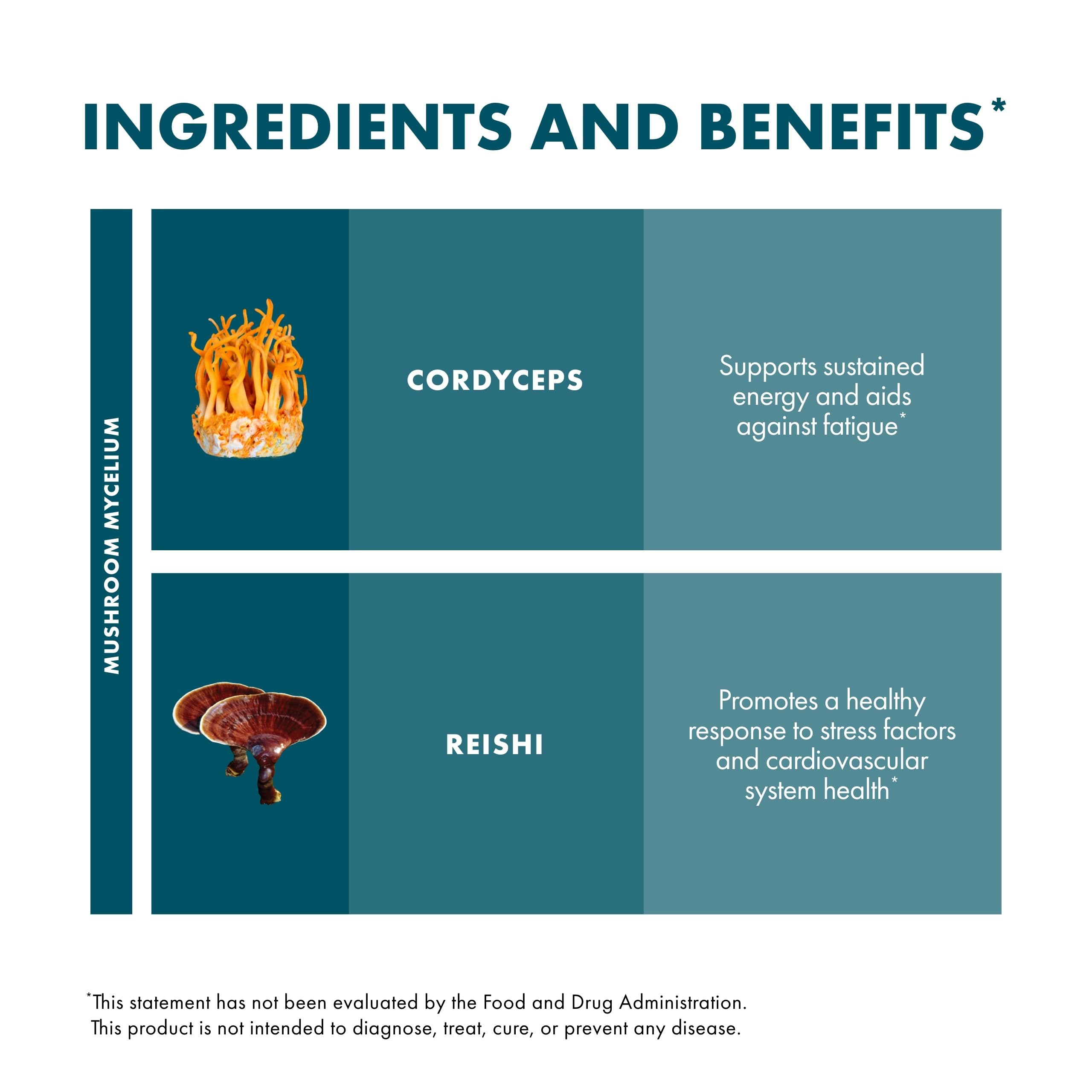 Host Defense CordyChi Capsules – Cordyceps & Reishi for Energy & Immune Support | 120 Capsules