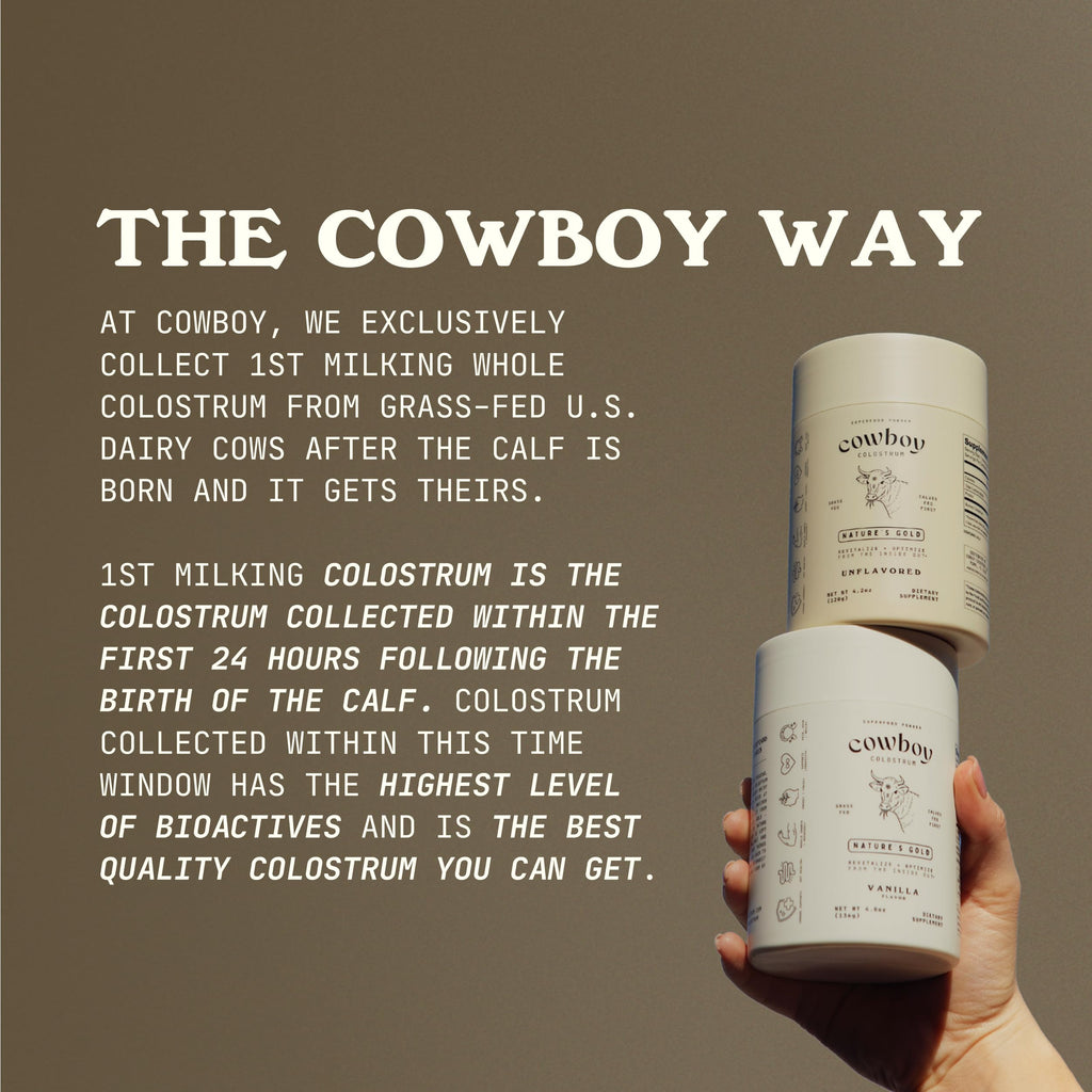 Cowboy Colostrum Powder – Grass-Fed Bovine Colostrum for Gut Health, Immunity, Skin & Hair (Vanilla, 40 Servings)