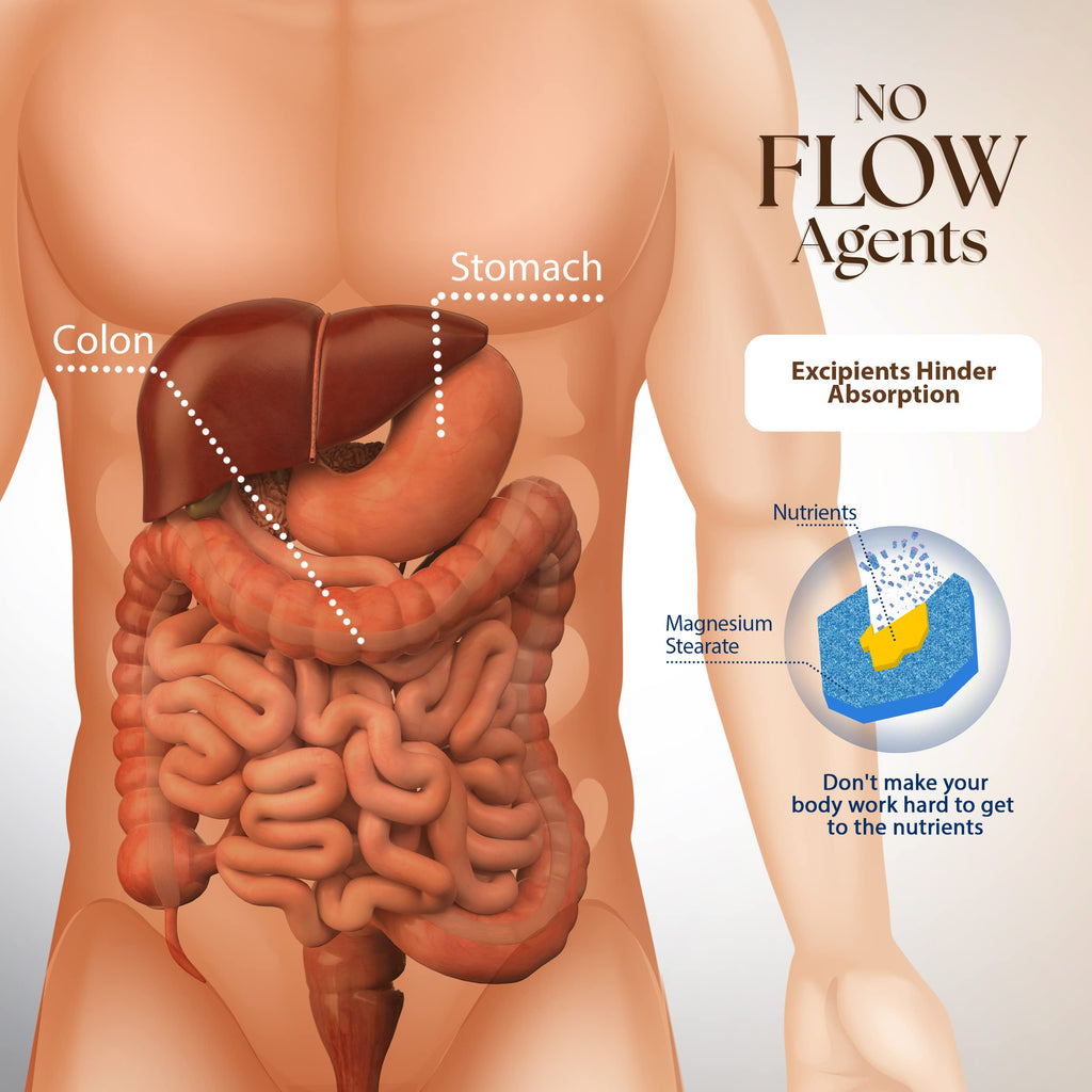 Dr Clark CRaNiULS Multi Vitamin & Mineral 520 mg Gelatin Capsules - 150 Count