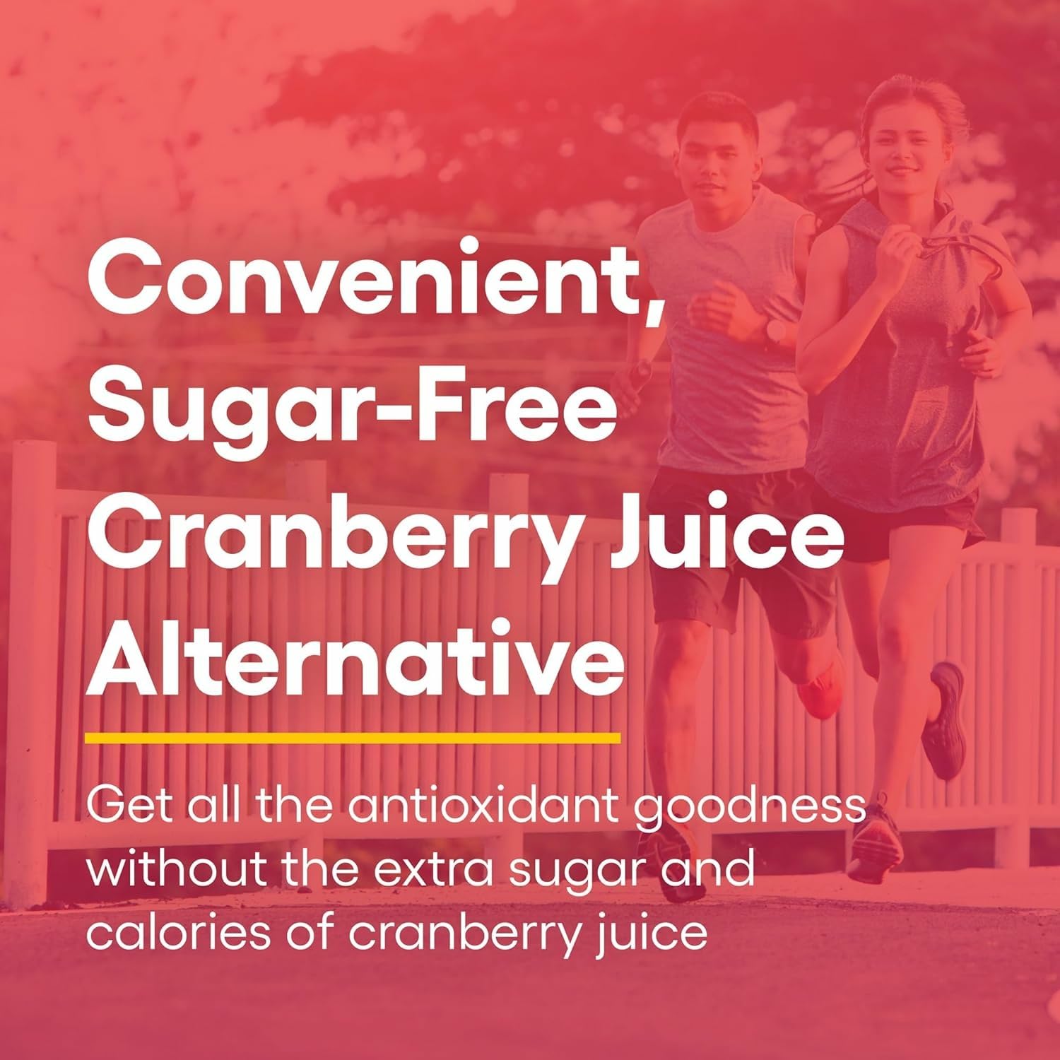 Natural Factors CranRich Cranberry Concentrate – Antioxidant & Urinary Tract Health (180 Capsules)
