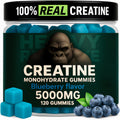 Creatine Monohydrate Gummies 5000mg – Blueberry, 120 Count (30 Servings) | Pre-Workout