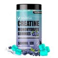 Creatine Monohydrate Gummies – 5g per Serving, Vegan, Sugar-Free, Blueberry | 120 Count