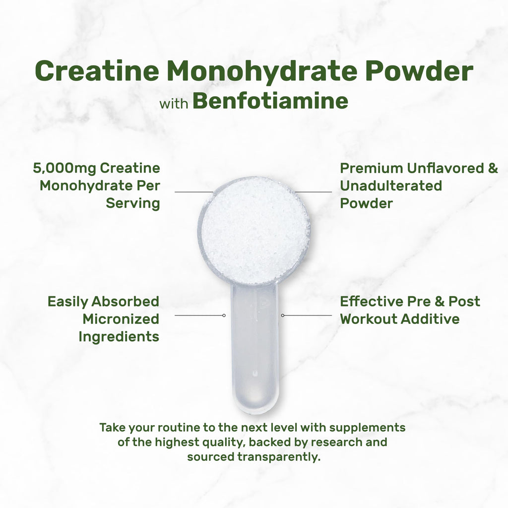 Instant Creatine Monohydrate Powder, 5g Per Serving – 240 Servings | Micronized, Unflavored, Fast Absorbing Formula | Supports Strength, Power, & High-Intensity Training* | Vegan, Keto, Non-GMO