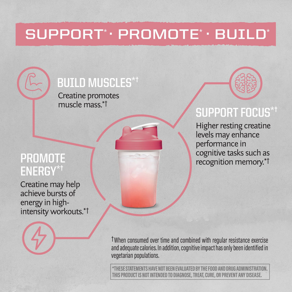 Creatine Monohydrate Powder Raspberry – 50 Servings | Vegan & Keto