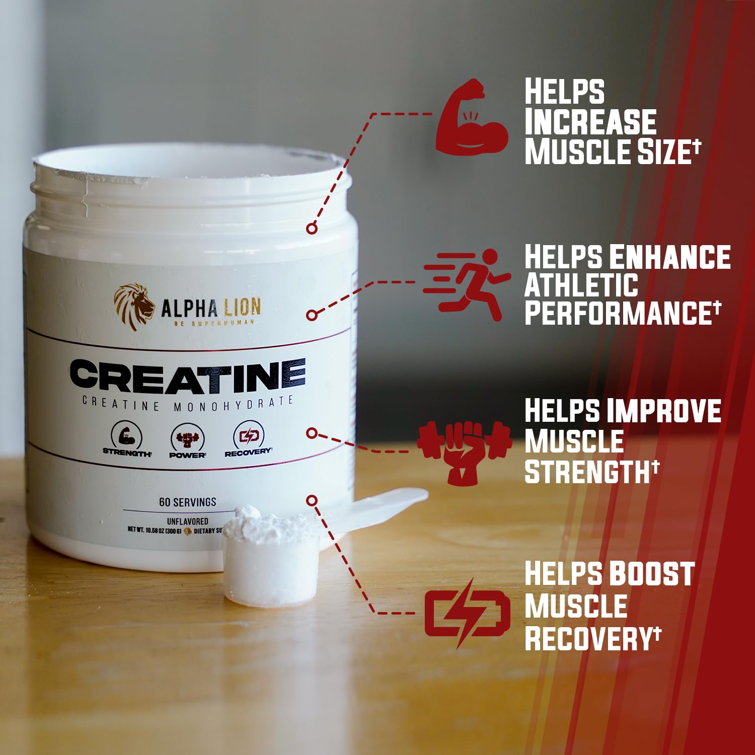 ALPHA LION Creatine Monohydrate Powder – 5000 mg per Serving, 60 Servings, Unflavored