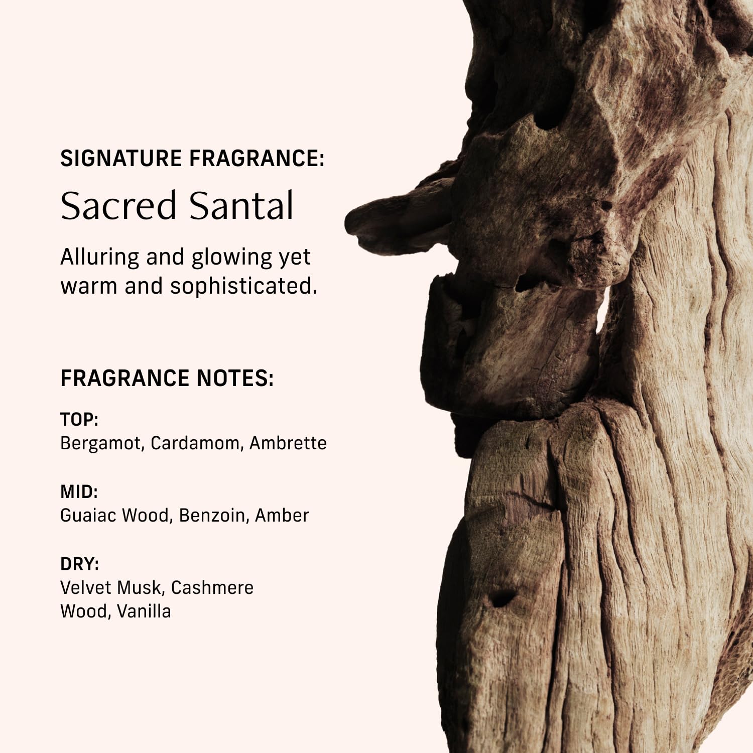 CYKLAR Perfume Oil Roll-On – Sacred Santal Fragrance, 0.5 fl oz