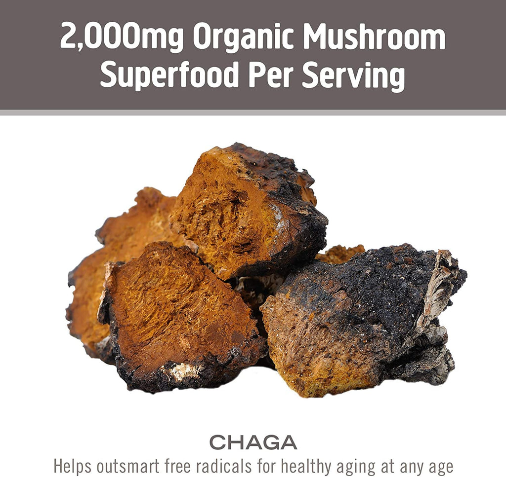 Om Mushroom Superfood Chaga Capsules | Immune Support, 90 Count