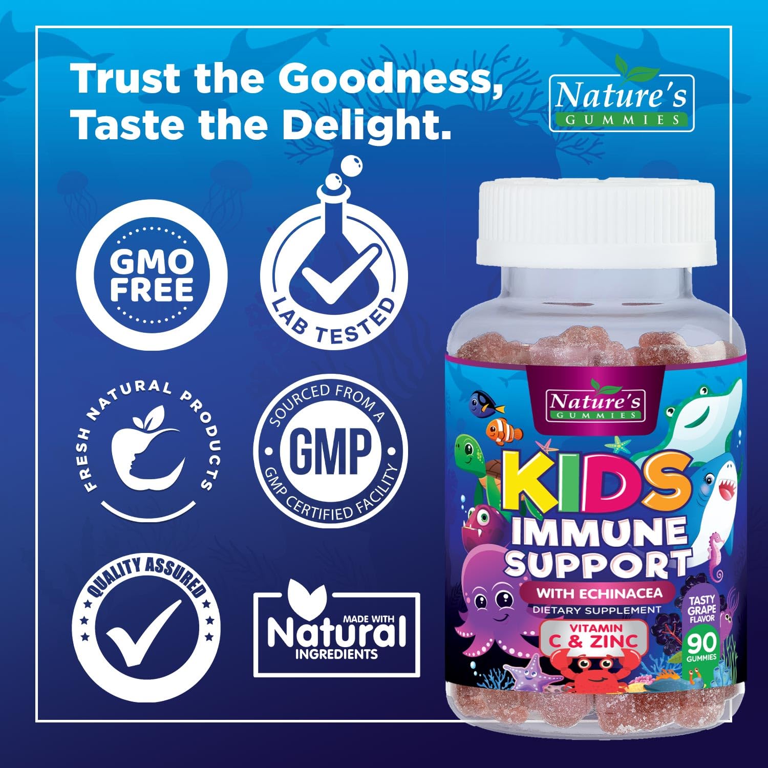 Kids Immune Support Gummies – Vitamins C, Zinc & Echinacea (90 Gummies) | Non-GMO, Gluten-Free & Vegan