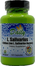 Daily Manufacturing L-Salivarius Probiotic — 2 Billion CFU, Delayed-Release, 120 Capsules