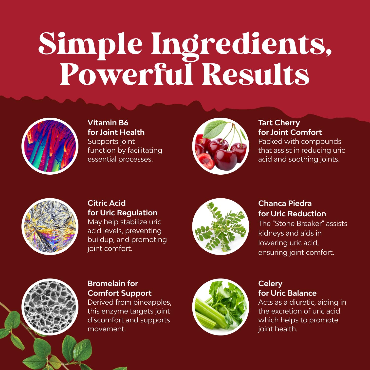 Green Coffee Bean Extract for Uric Acid Cleanse & Detox – 90 Count