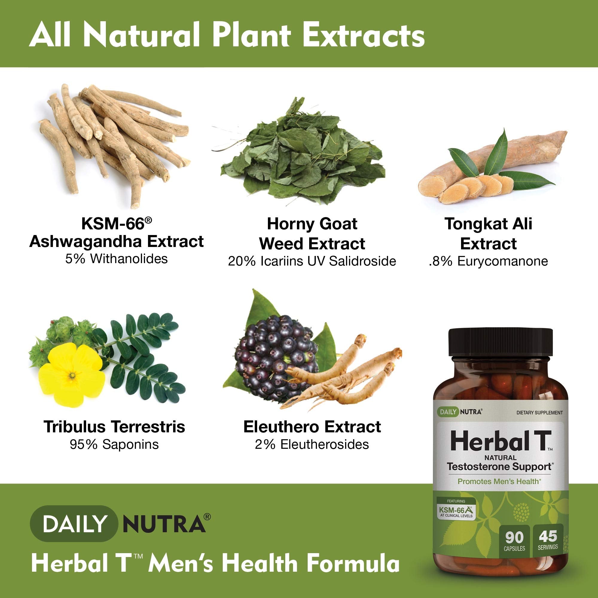 DailyNutra Herbal T Men's Health Formula - Endurance & Vitality (3-Pack)