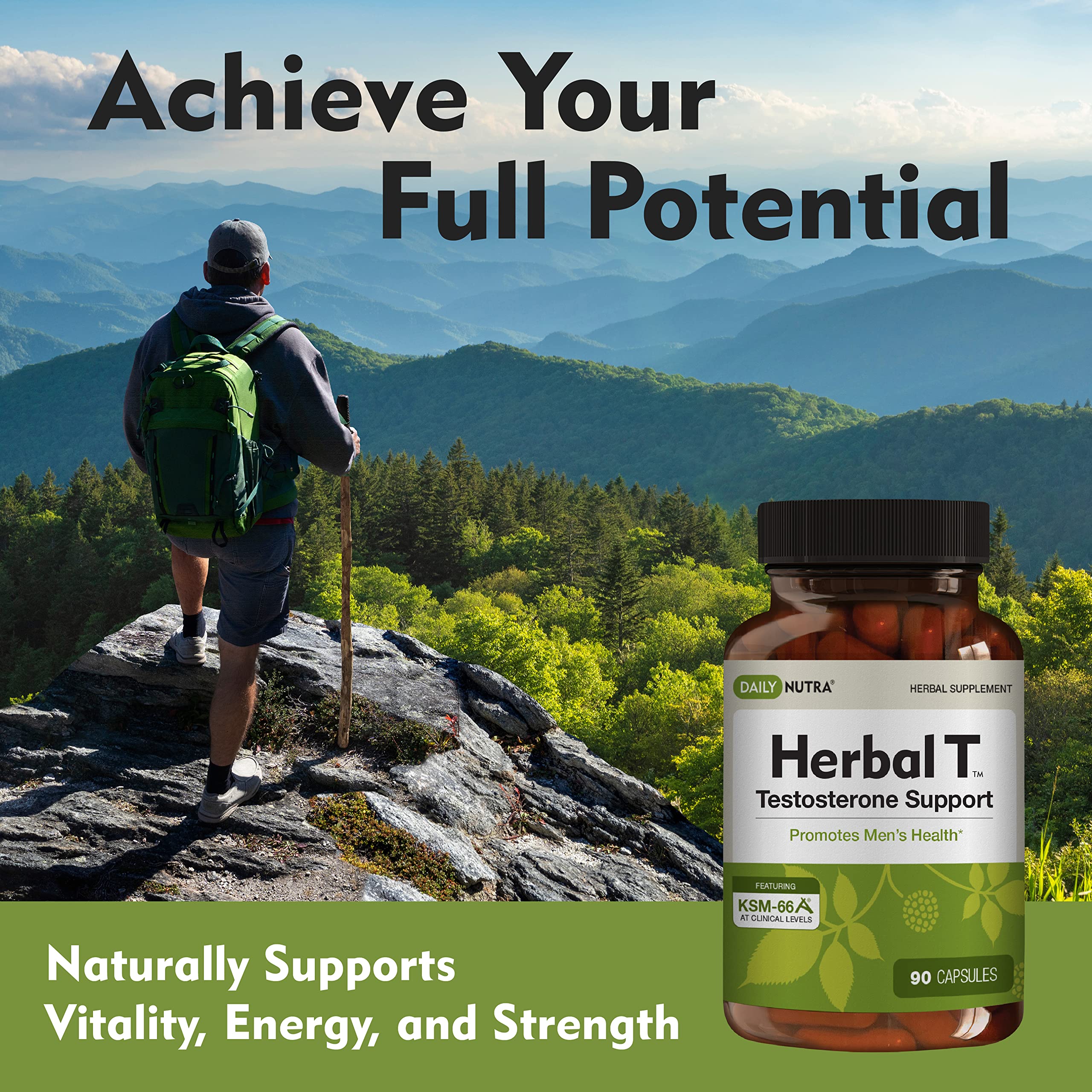 DailyNutra Herbal T Men's Health Formula - Endurance & Vitality (3-Pack)