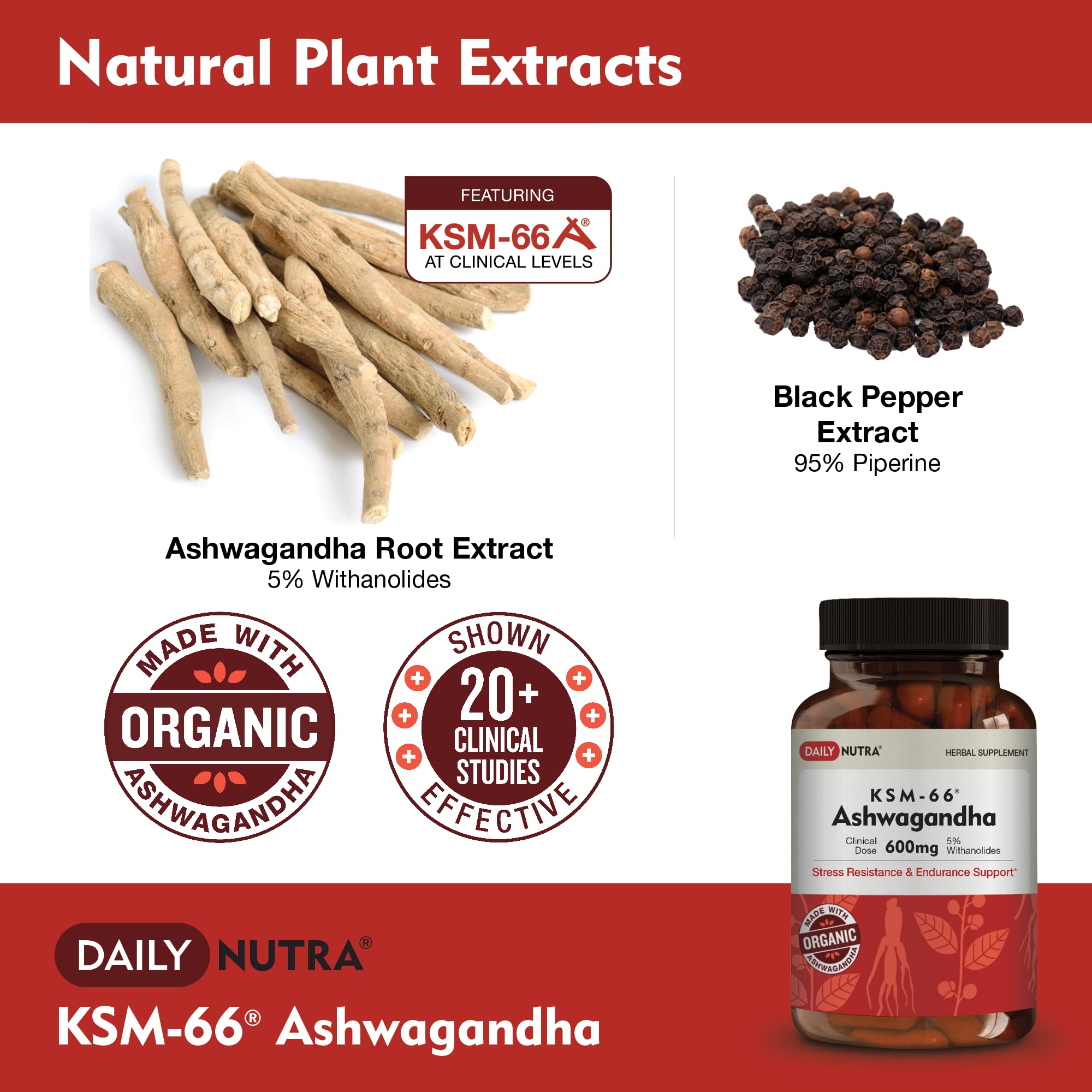 DailyNutra KSM-66 Ashwagandha 600mg Organic Root Extract – High Potency 5% Withanolides (60 Capsules)