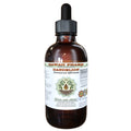Dandelion Alcohol-Free Liquid Extract – Organic Taraxacum Officinale Glycerite, 2 oz | Hawaii Pharm