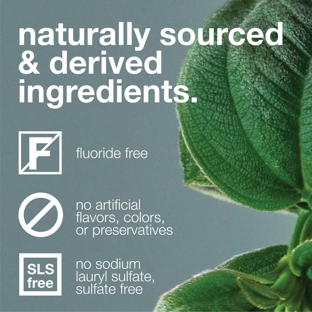 Davids Charcoal Toothpaste – Enhanced Whitening, Fluoride-Free, SLS-Free