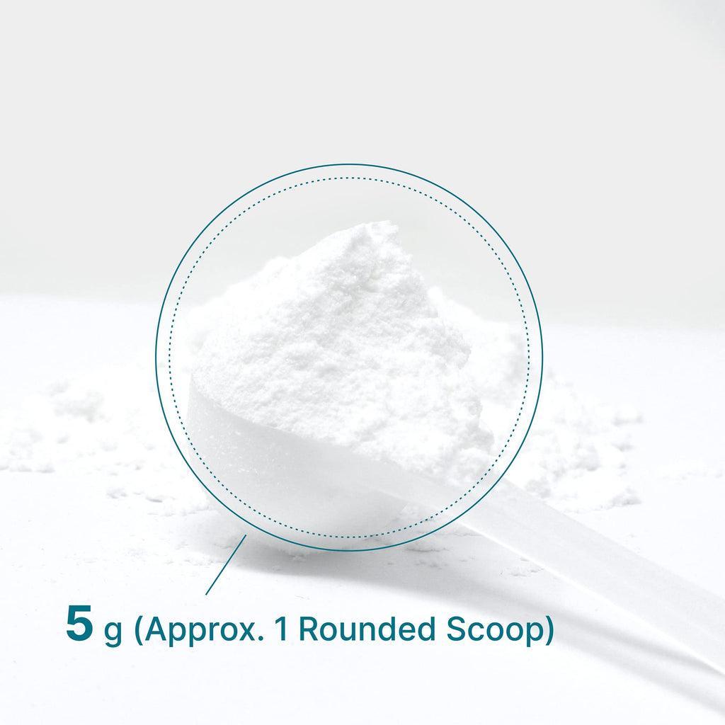 Deal Supplement Creatine Monohydrate Powder – 60 Servings, Unflavored, Micronized