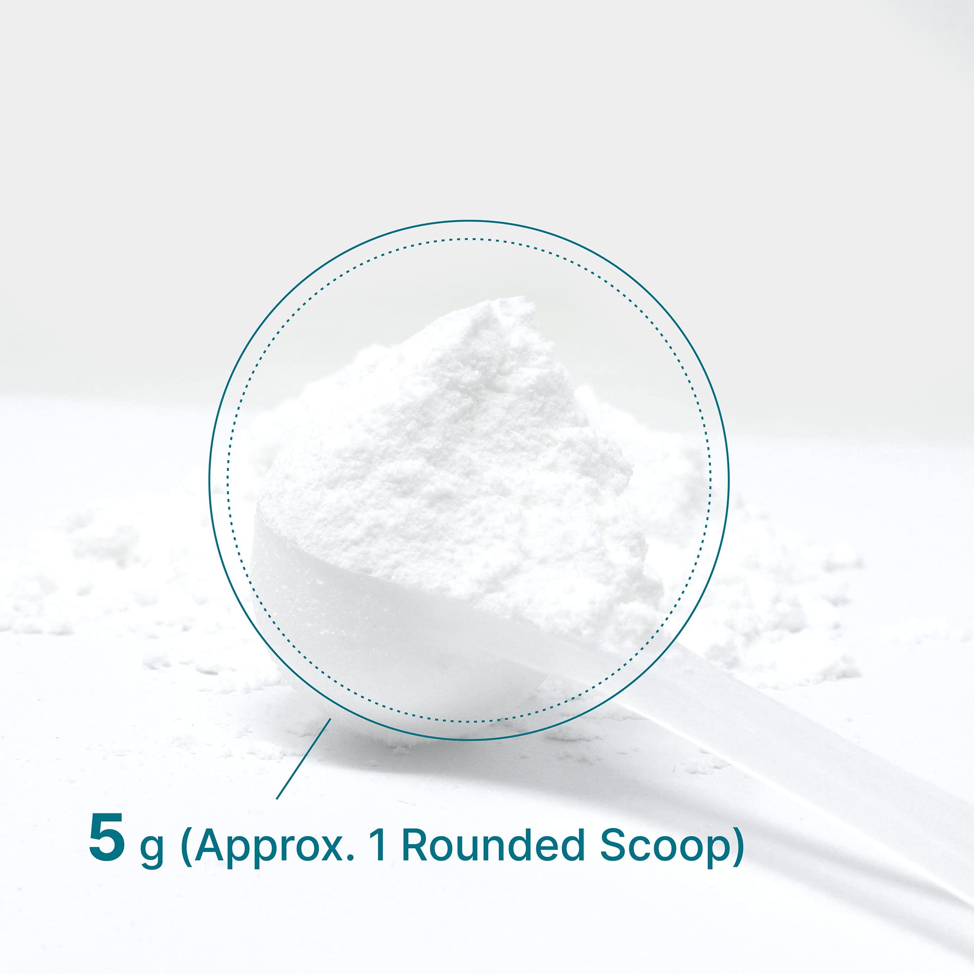 Deal Supplement Creatine Monohydrate Powder – 60 Servings, Unflavored, Micronized
