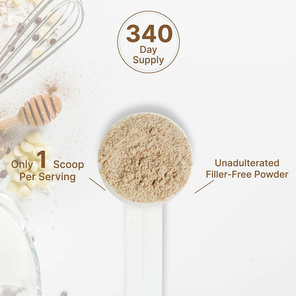 Organic Mushroom Powder 12oz | 10-in-1 Blend for Immune, Energy & Brain Health | Non-GMO Vegan
