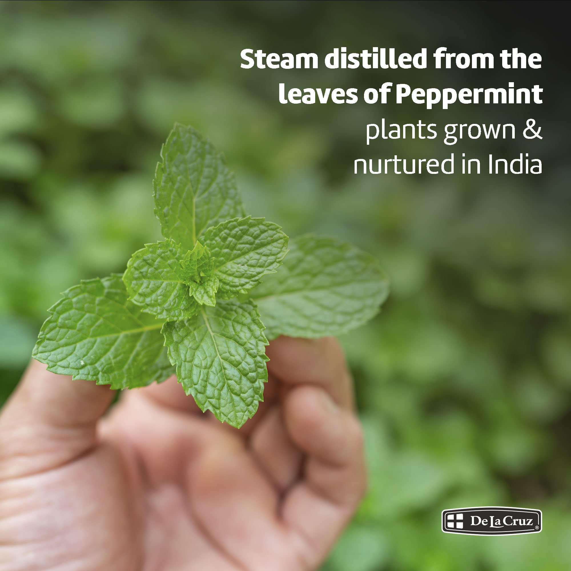 De La Cruz Peppermint Essential Oil - 100% Pure Steam Distilled 2 fl oz for Aromatherapy