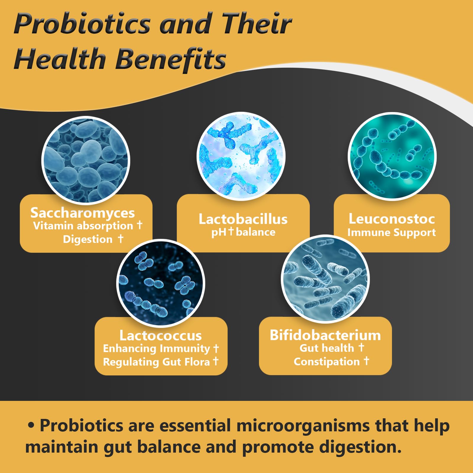 Proriginal Probiotics with Prebiotics — 100 Billion CFU, 35 Strains, Vegan, Non-GMO, 120 Capsules