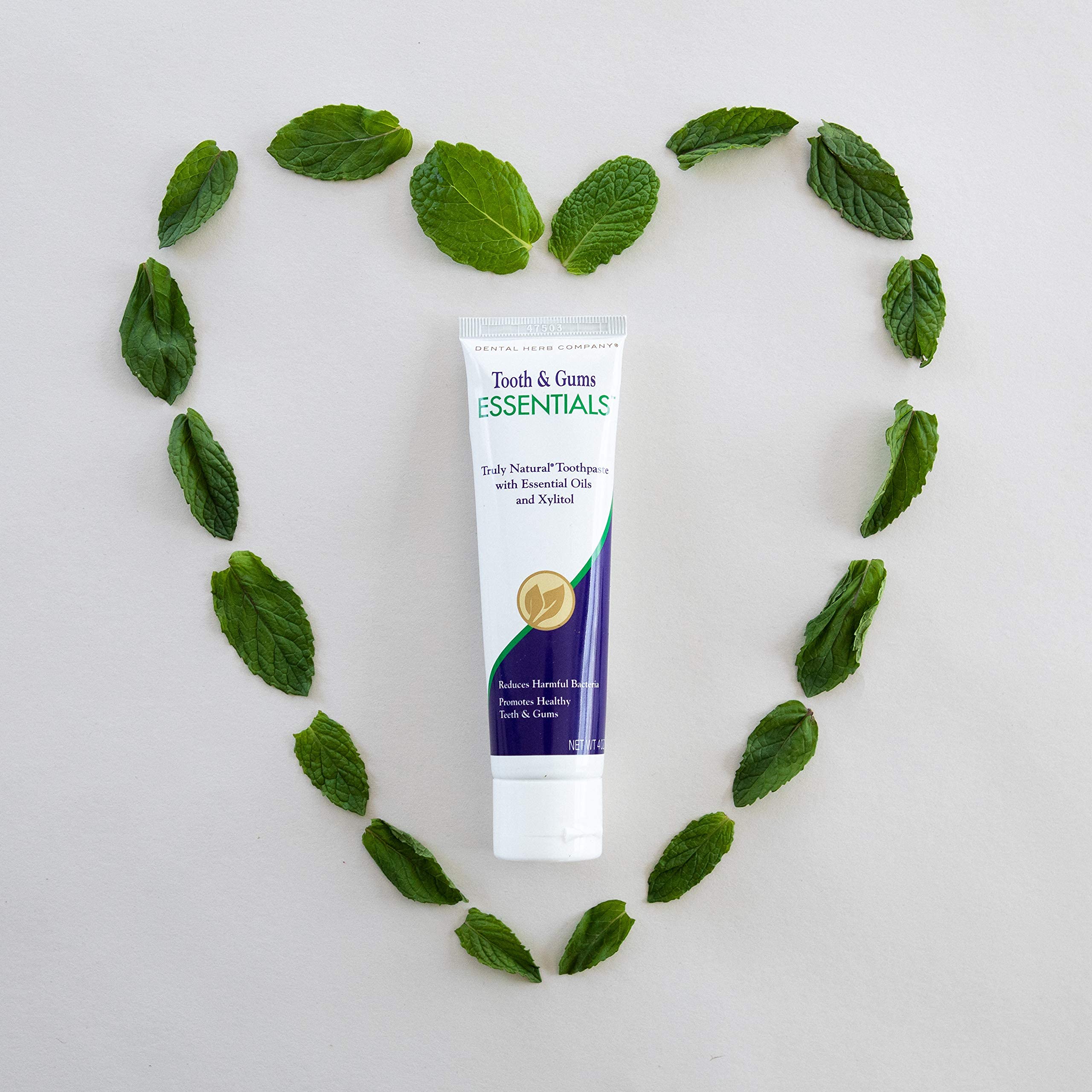 Dental Herb Company Essentials Toothpaste Fluoride-Free 4 oz (3 Pack)