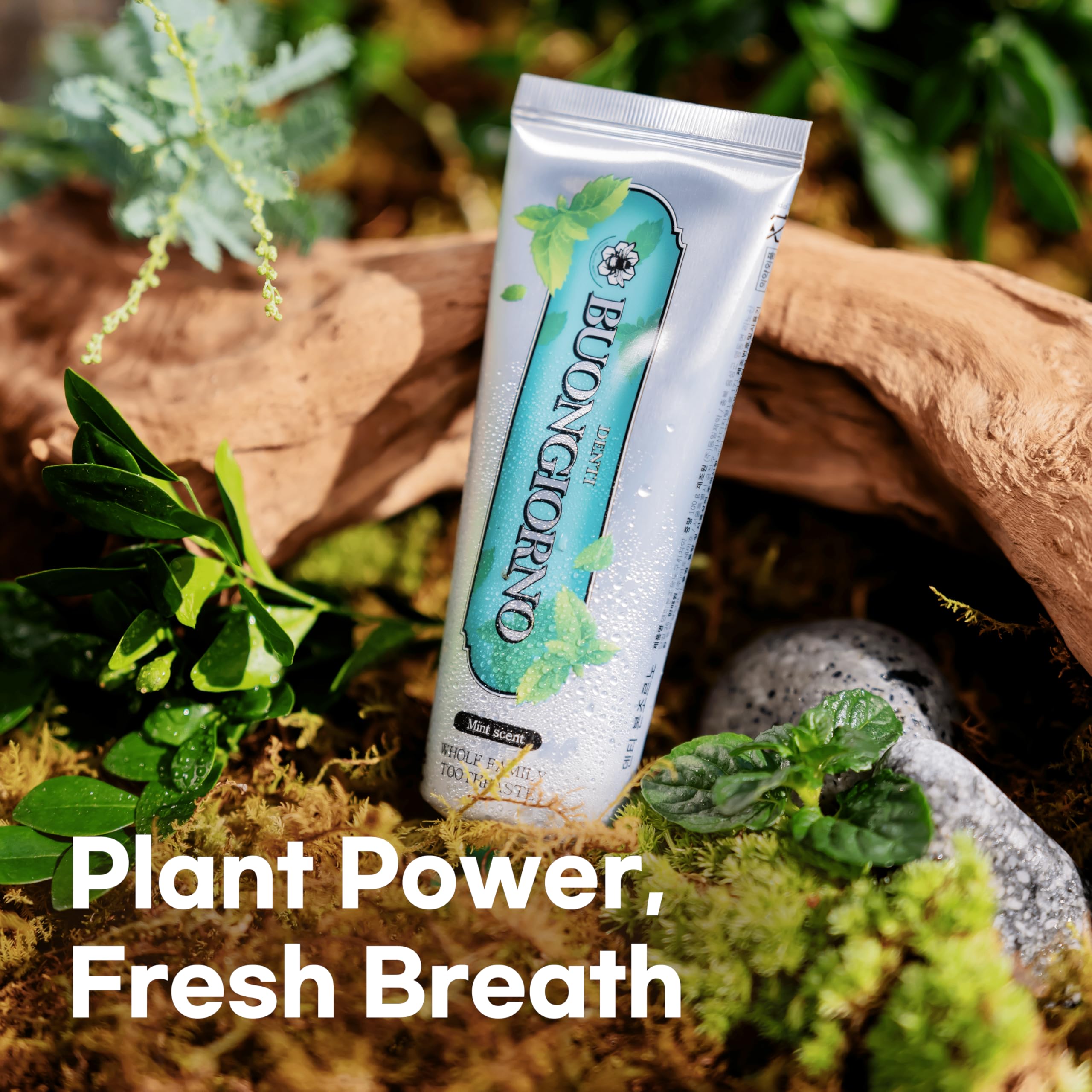 DENTI BUONGIORNO Herbal Mint Toothpaste - Natural Fluoride, Fresh Breath, Plaque Removal (3.52 fl oz / 100 g)