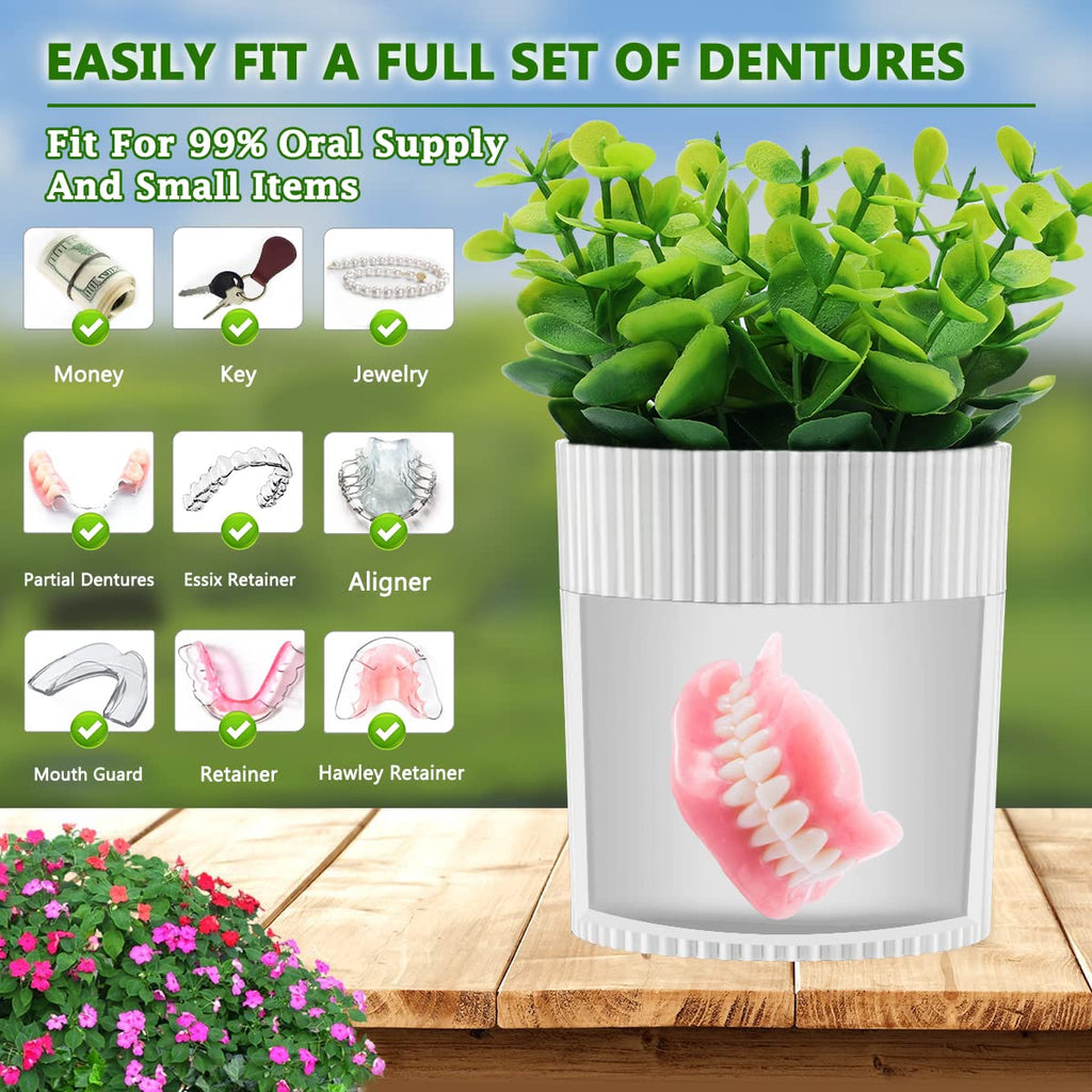 Denture Bath – Invisible Denture Case Hidden as Artificial Eucalyptus Plant | Retainer & Denture Cup
