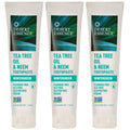 Desert Essence Tea Tree Oil & Neem Toothpaste – Wintergreen, 6.25 oz, Pack of 3