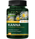 DetoxenNATURE Kanna Extract Power Capsules – Relaxation & Focus Support (90 Count)
