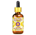 dève herbes Anise Essential Oil (Pimpinella anisum) with Glass Dropper | Pure | Non-Sticky | Non-Greasy | Lightweight | Men & Women | All Skin Types | Steam Distilled 30ml (1 oz)