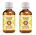 dève herbes Calamus Essential Oil 15ml | Pure Acorus Calamus | Steam Distilled