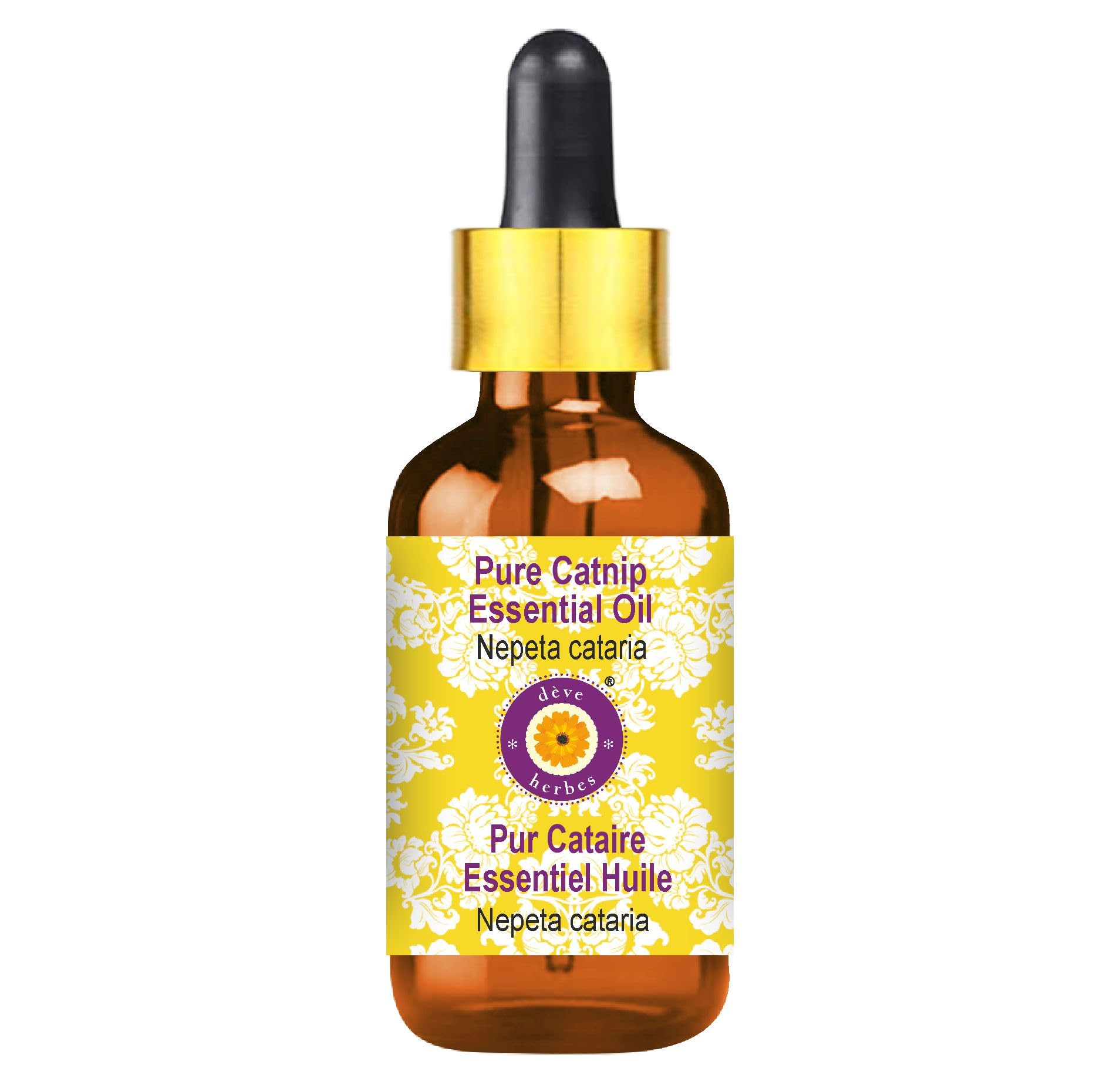 dève herbes Catnip Essential Oil (Nepeta cataria) 5ml with Glass Dropper – Pure & Steam Distilled
