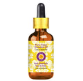 Deve Herbes Pure Cistus Essential Oil (Cistus ladanifer) – Steam Distilled 10ml with Glass Dropper