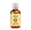 Deve Herbes Pure Holy Basil Essential Oil (Tulsi) – Steam Distilled 30ml