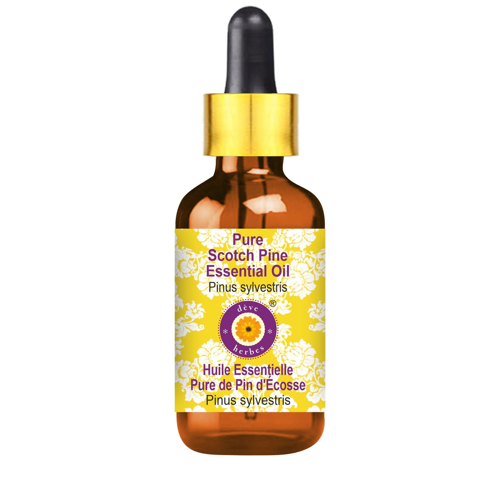 Deve Herbes Pure Scotch Pine Essential Oil (Pinus sylvestris) - Steam Distilled, 5ml with Glass Dropper