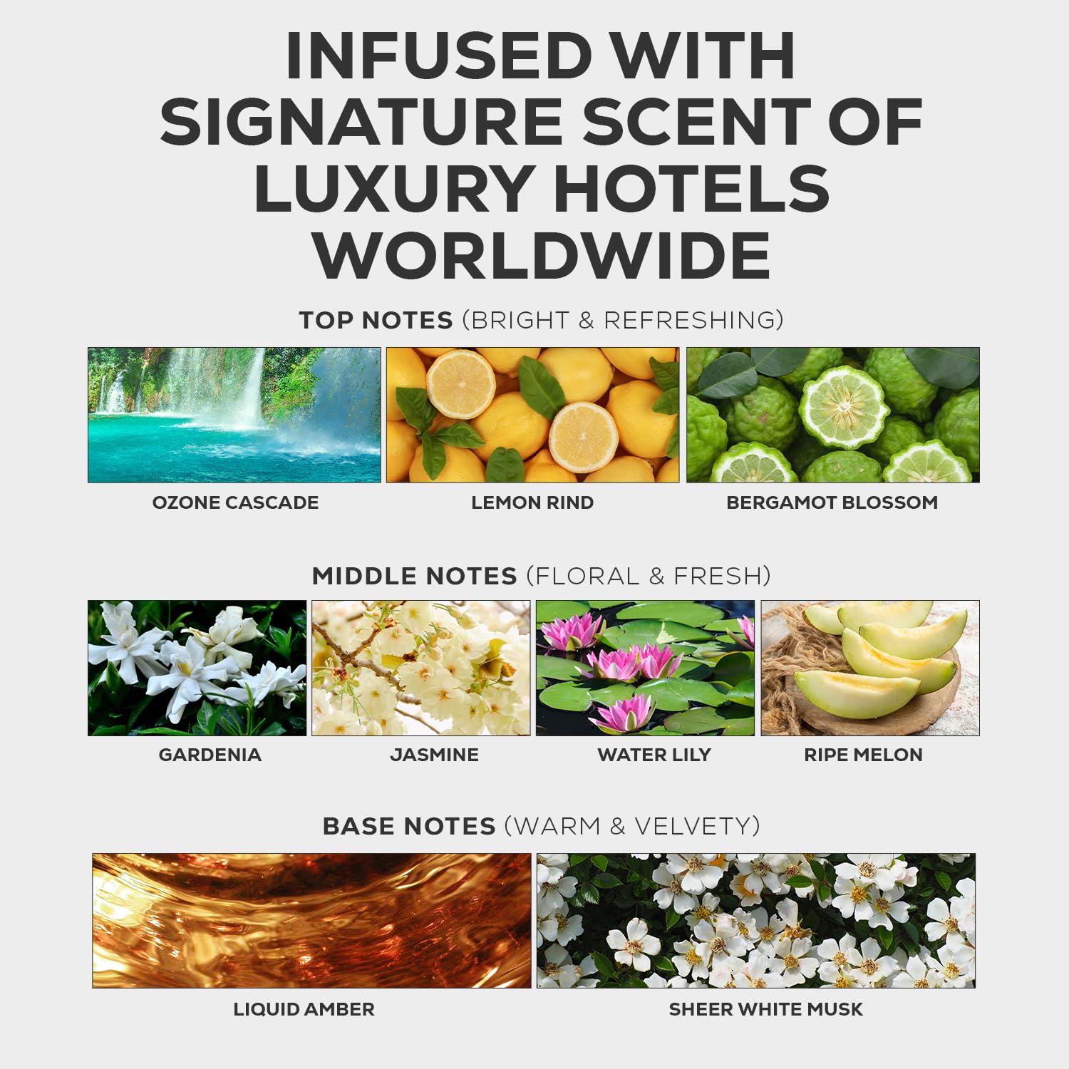 Aroma Country Ritzy Luxury Hotel Diffuser Oil – Gardenia & Amber Scent, 8.5 Fl Oz