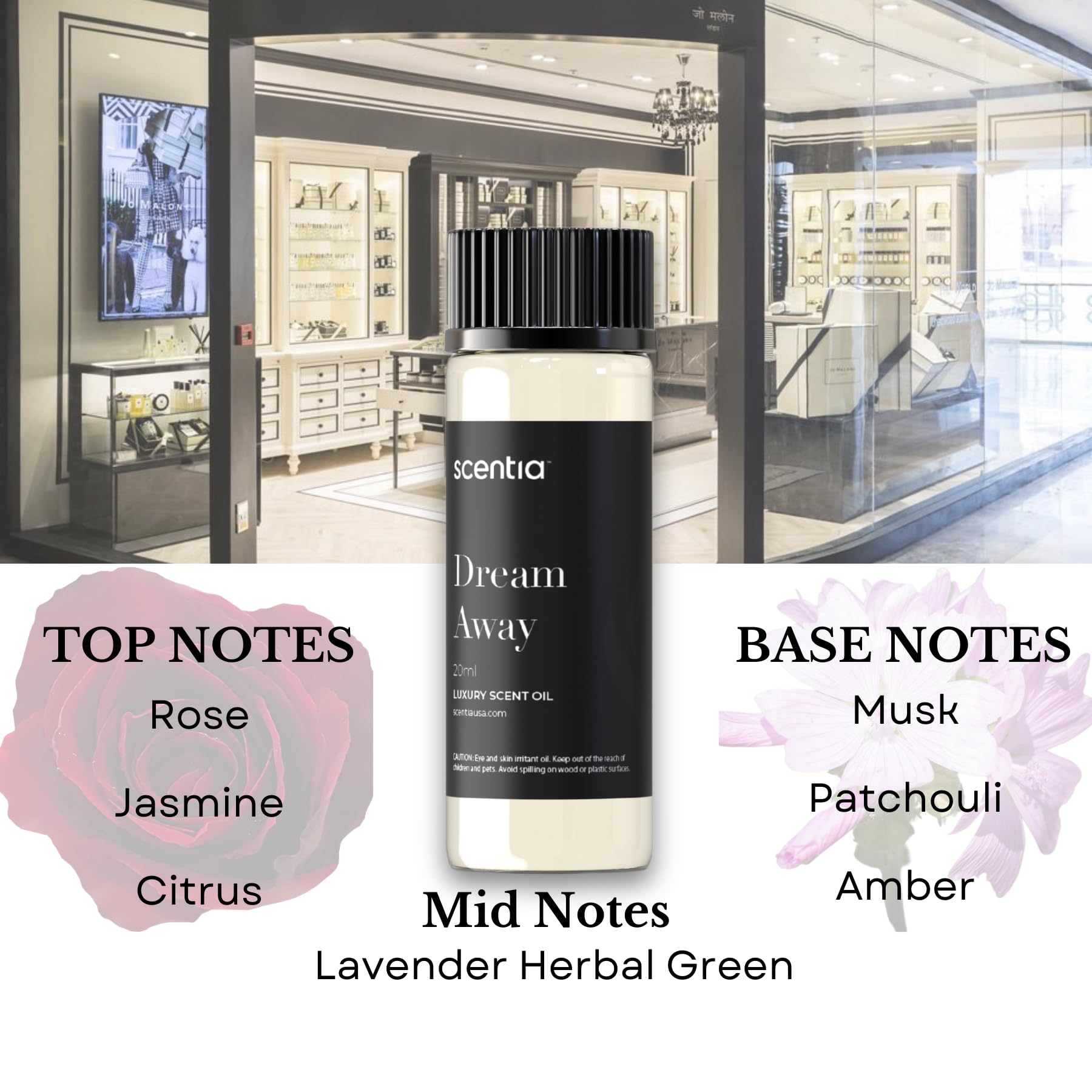 Perfume-Inspired Essential Oil Set – 3×20ml Diffuser Oils