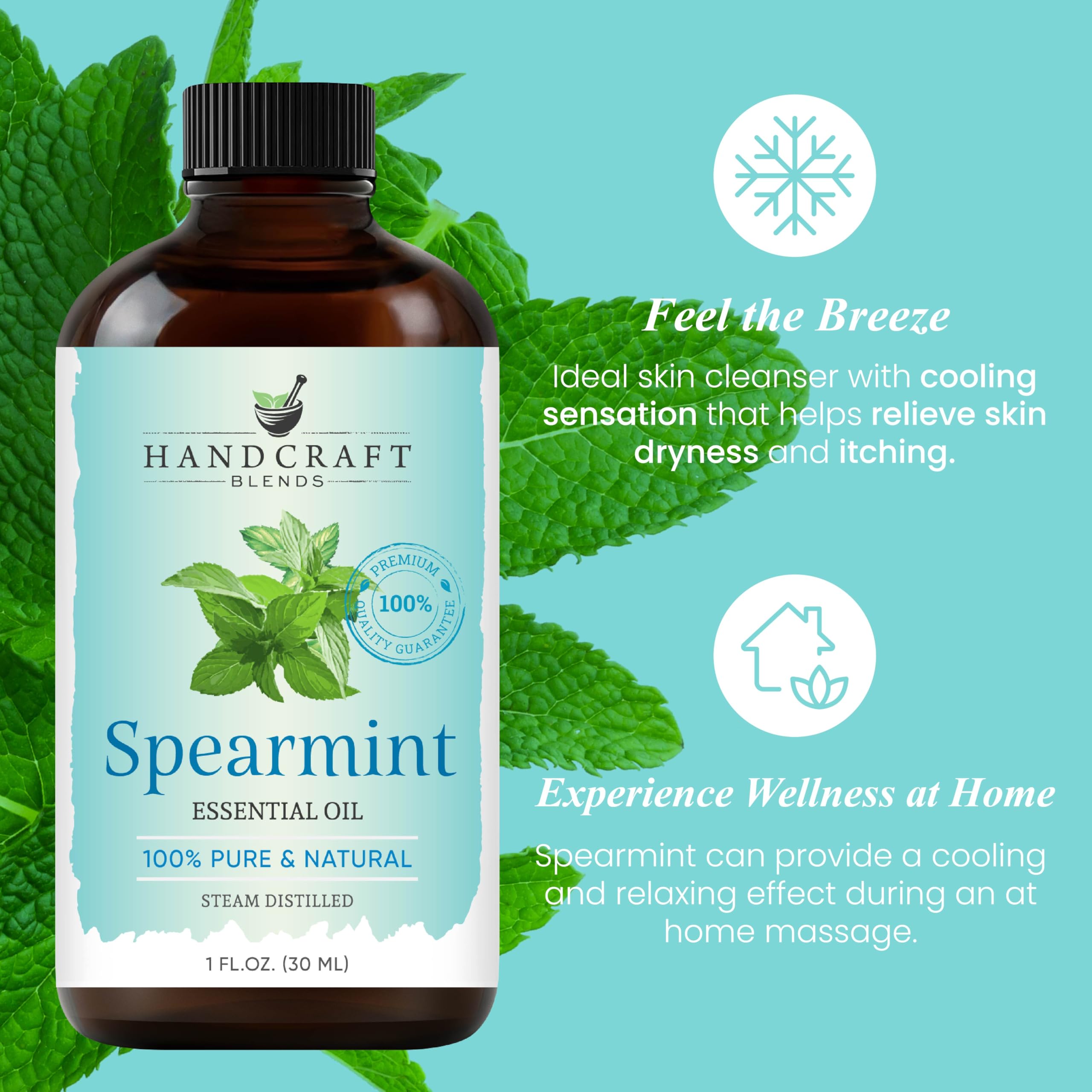 Handcraft Blends Spearmint Essential Oil - 1 oz - 100% Pure & Natural, Premium Grade