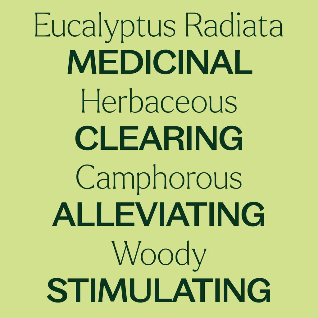Plant Therapy Eucalyptus Radiata Essential Oil 30 mL (1 oz) - 100% Pure
