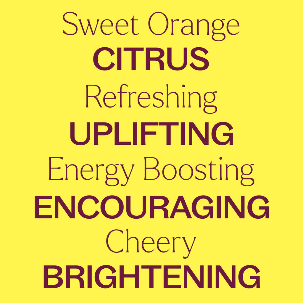 Plant Therapy Sweet Orange Essential Oil 30 mL | 100% Pure & Undiluted