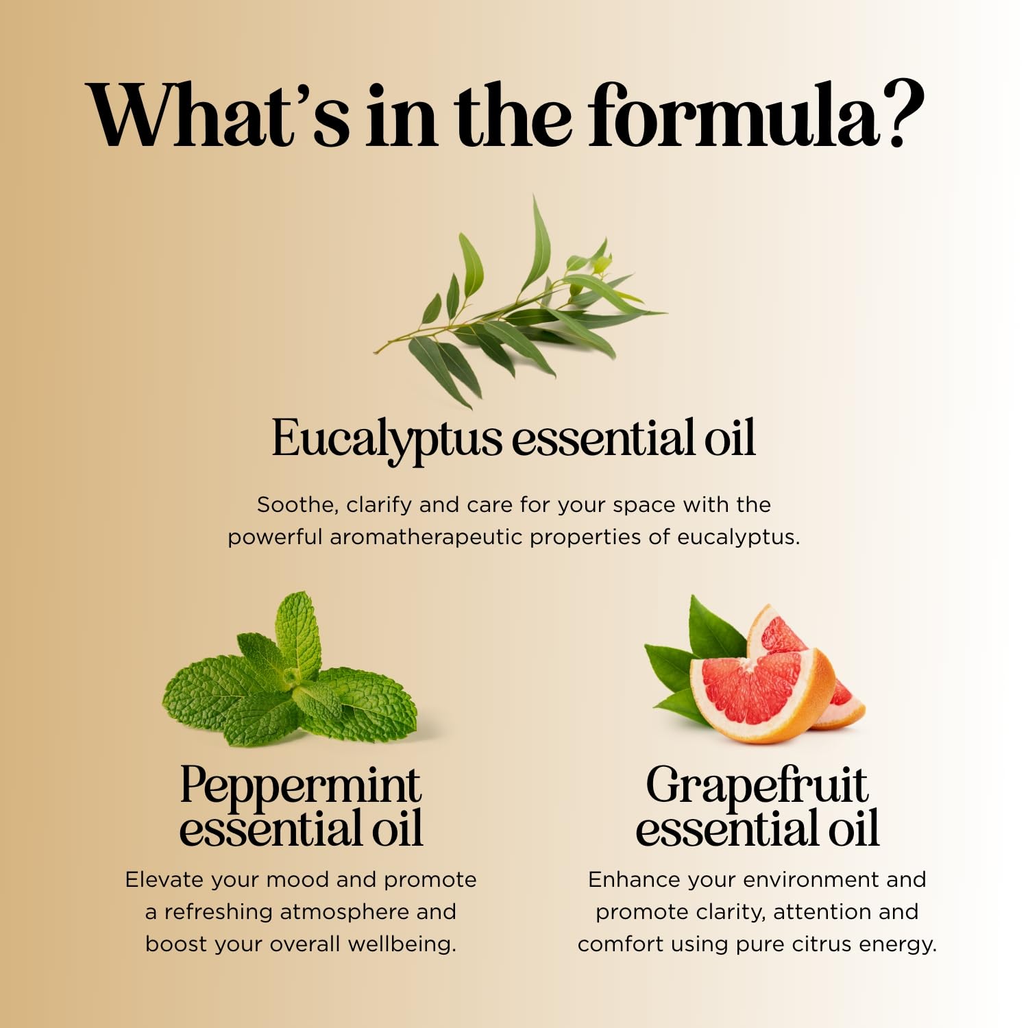Focus Essential Oil Blend for Diffusers - Energy & Focus (Grapefruit, Bergamot, Peppermint, Eucalyptus) 1 Fl Oz