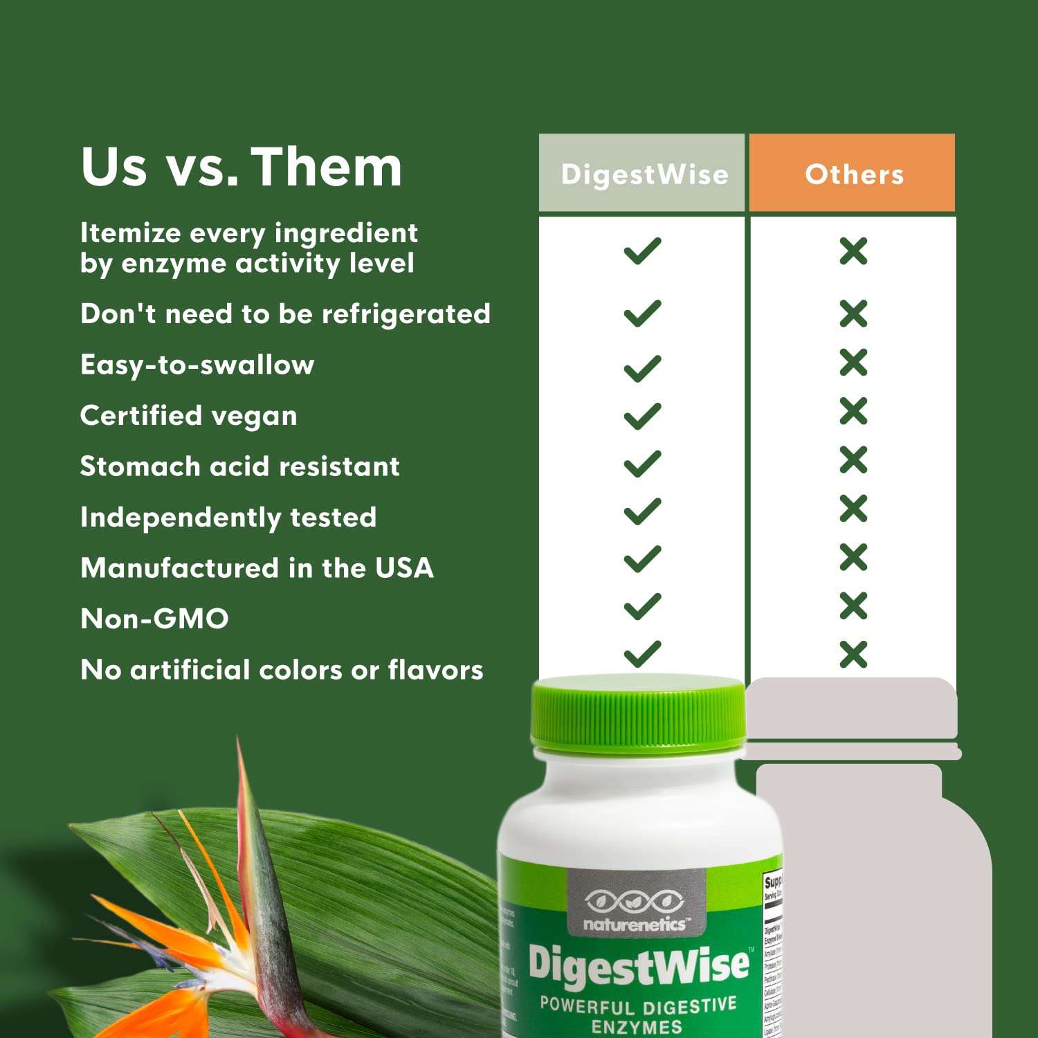 DigestWise Digestive Enzymes – 10 Vegan Enzymes for Digestion, Gas & Bloating | 90 Capsules