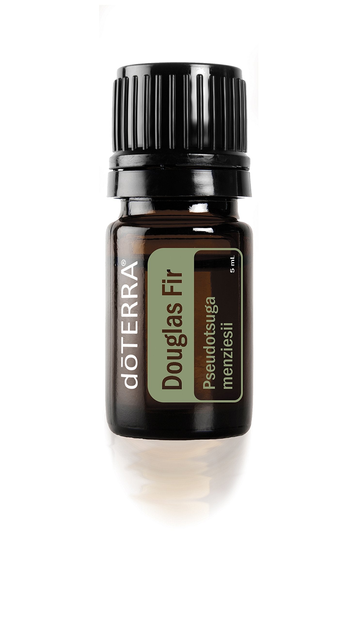 doTERRA Douglas Fir Essential Oil - 5 ml | Purifying, Mood-Boosting & Clear Airways